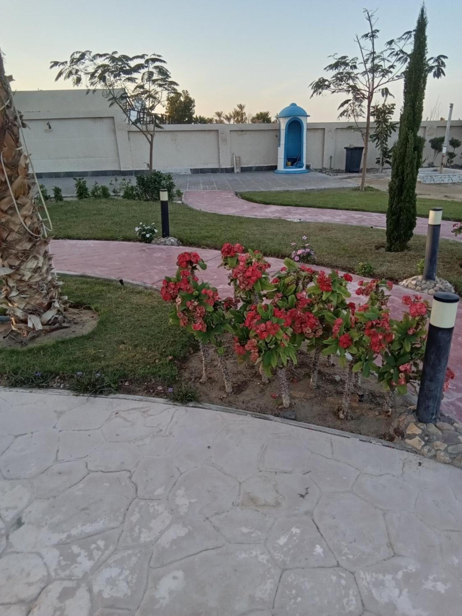 Casablanca Beach Aparthotel Hurghada Exterior foto